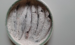 20160910_125638.jpg