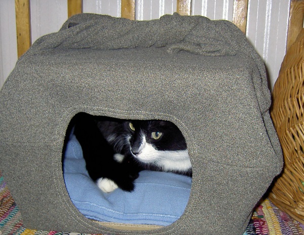 PICT1206.JPG