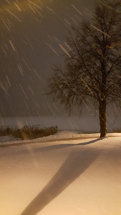 lumi – kopio.jpg