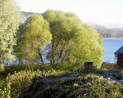 PICT1175.JPG