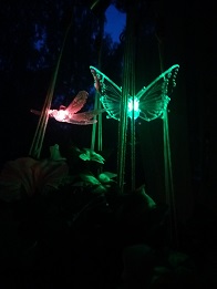 20180816_221312.jpg