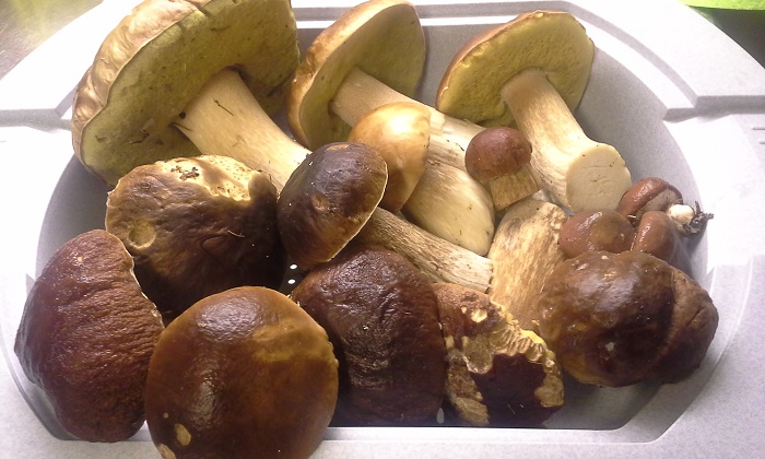 20140902_083919.jpg